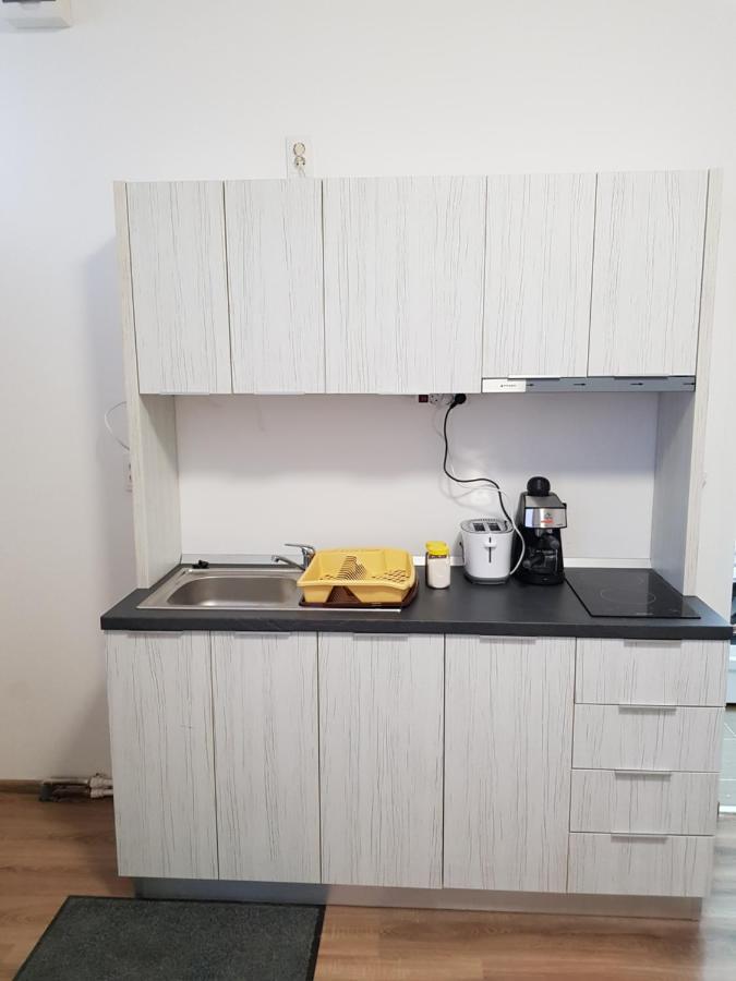 Apartament 15 Central Târgu-Mureş エクステリア 写真